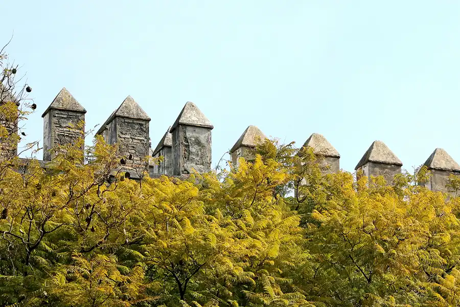 074 | 2007 | Jerez De La Frontera | © carsten riede fotografie