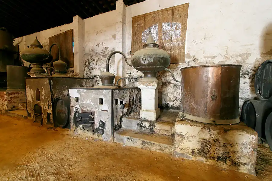 098 | 2007 | Jerez De La Frontera | Gonzales Byass – Tio Pepe | © carsten riede fotografie