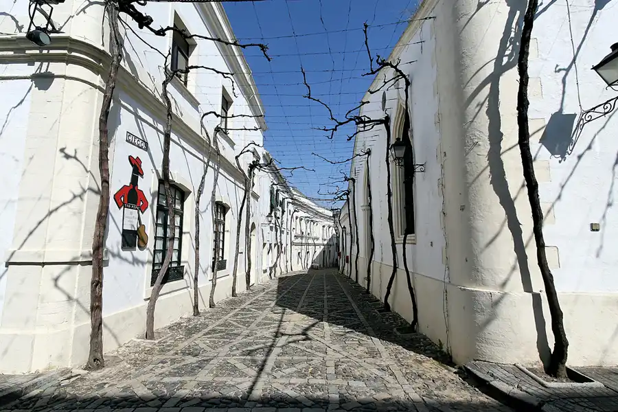 108 | 2007 | Jerez De La Frontera | Gonzales Byass – Tio Pepe | © carsten riede fotografie