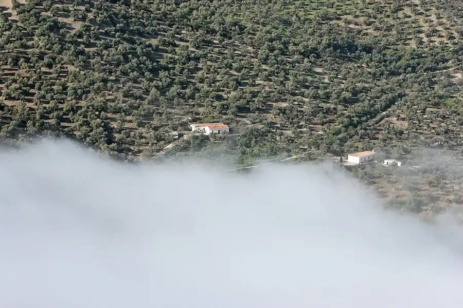 025 | 2007 | Sierra De Grazalema | Zahara De La Sierra | © carsten riede fotografie