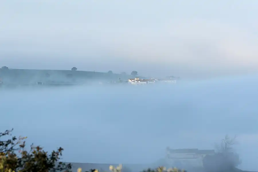 041 | 2007 | Prado Del Rey | Umgebung | © carsten riede fotografie