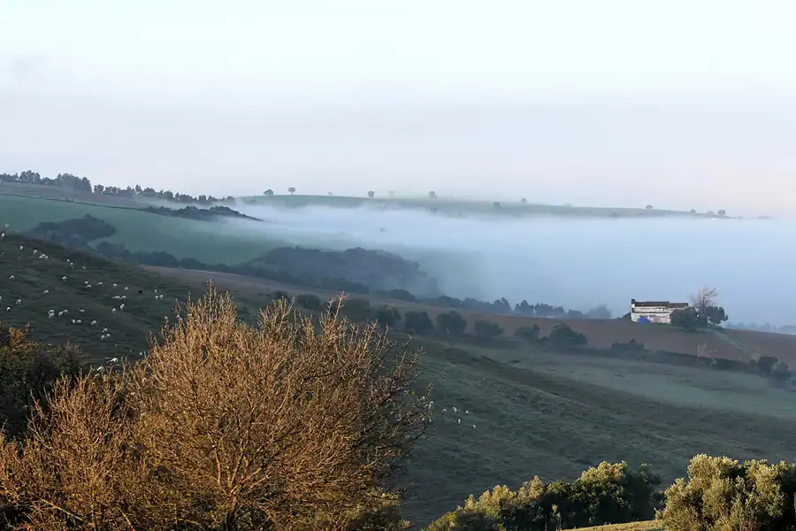 042 | 2007 | Prado Del Rey | Umgebung | © carsten riede fotografie