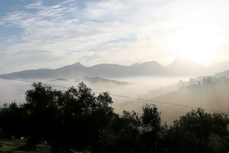 044 | 2007 | Prado Del Rey | Umgebung | © carsten riede fotografie