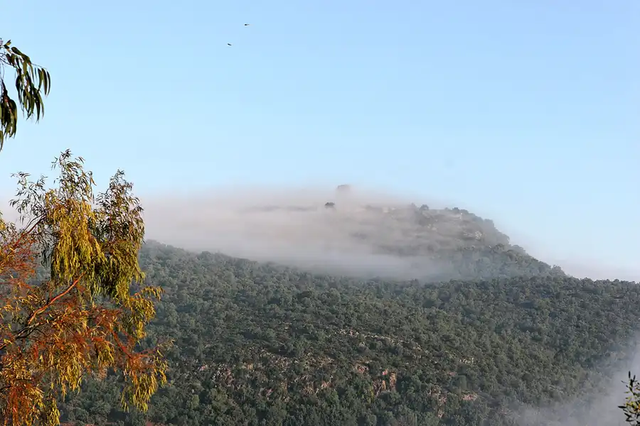 045 | 2007 | Prado Del Rey | Umgebung | © carsten riede fotografie