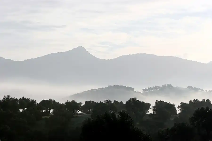 046 | 2007 | Prado Del Rey | Umgebung | © carsten riede fotografie