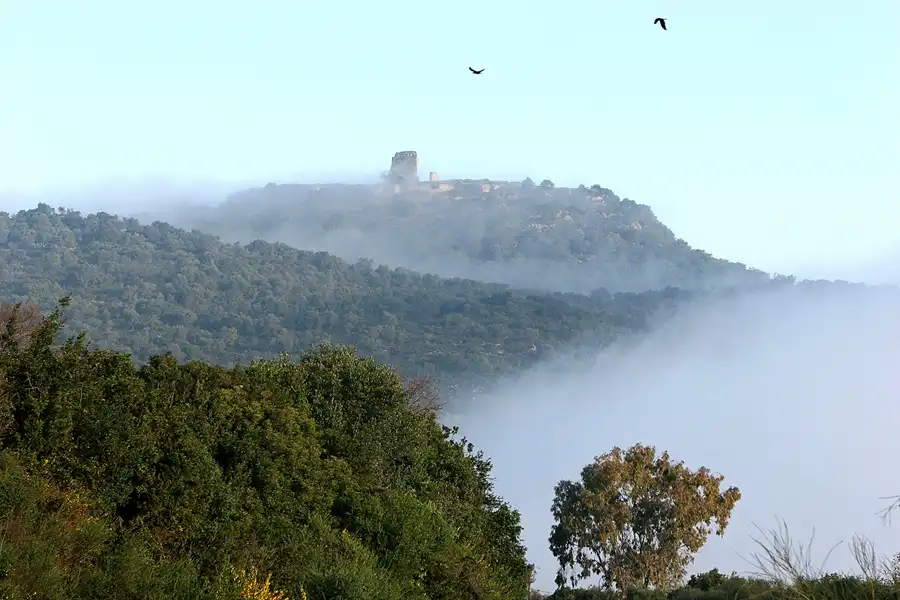 047 | 2007 | Prado Del Rey | Umgebung | © carsten riede fotografie