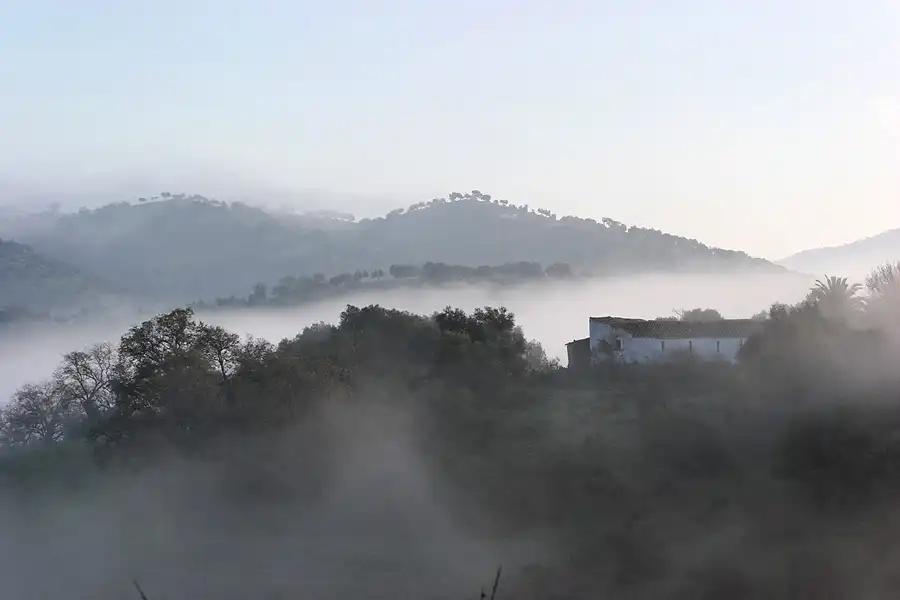 048 | 2007 | Prado Del Rey | Umgebung | © carsten riede fotografie