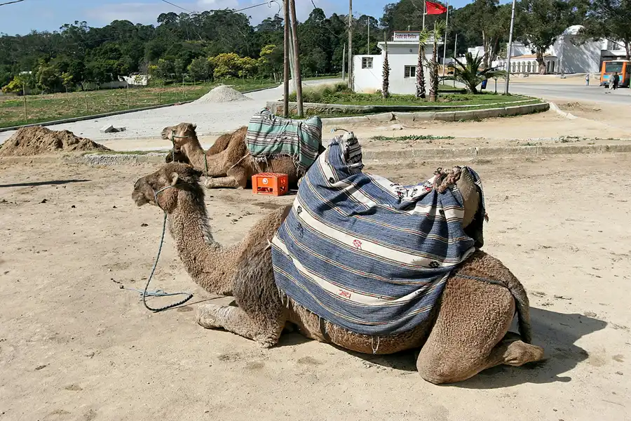 025 | 2007 | Tanger | © carsten riede fotografie