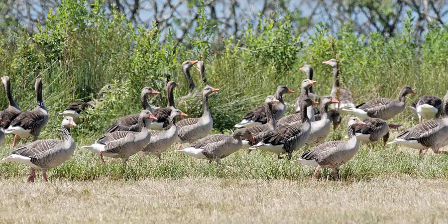 044 | 2007 | Bergen | Nonnensee | © carsten riede fotografie