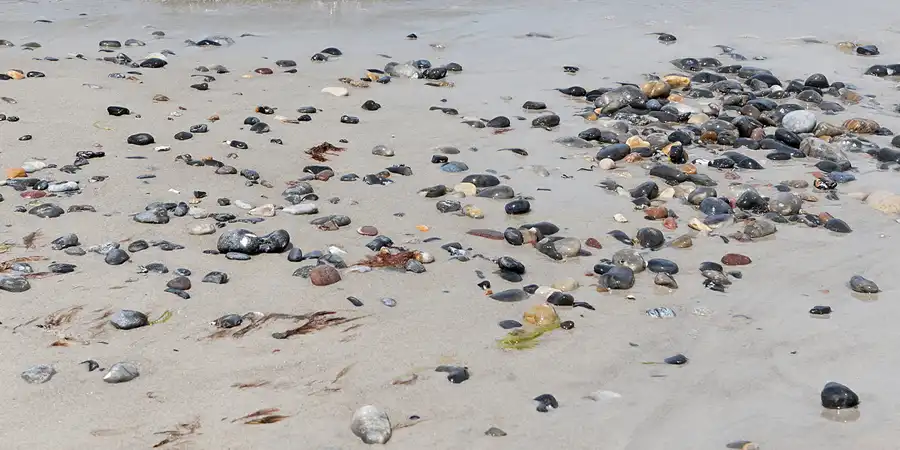 046 | 2007 | Kap Arkona | © carsten riede fotografie