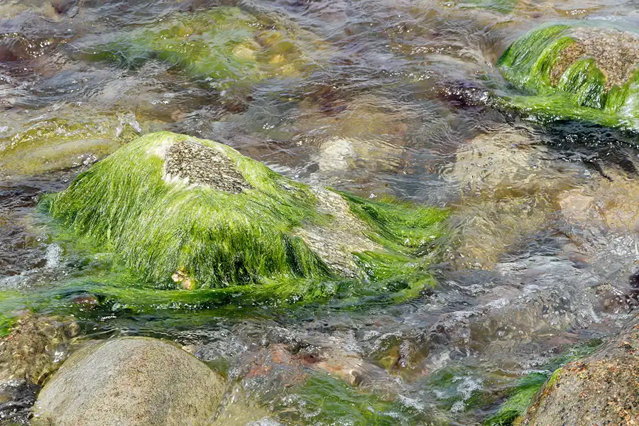 047 | 2007 | Kap Arkona | © carsten riede fotografie