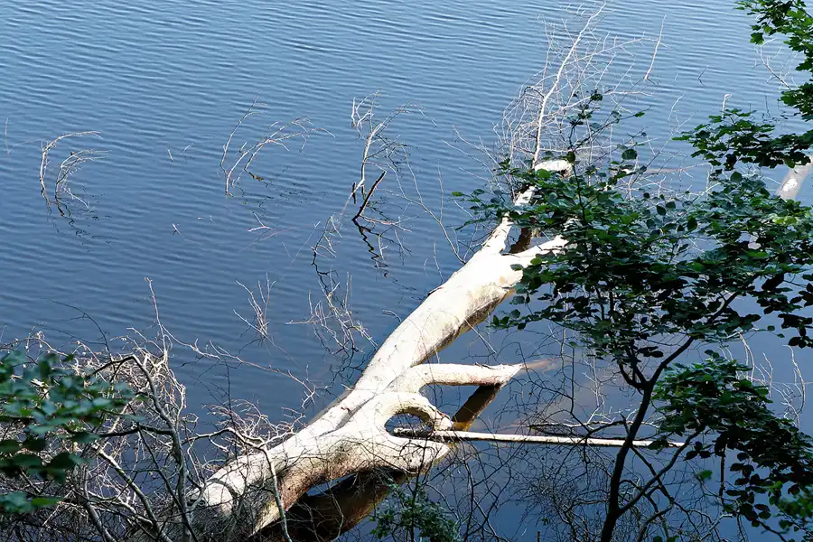 095 | 2007 | Rund um den Herthasee | © carsten riede fotografie