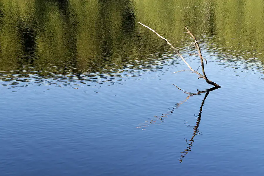 096 | 2007 | Rund um den Herthasee | © carsten riede fotografie