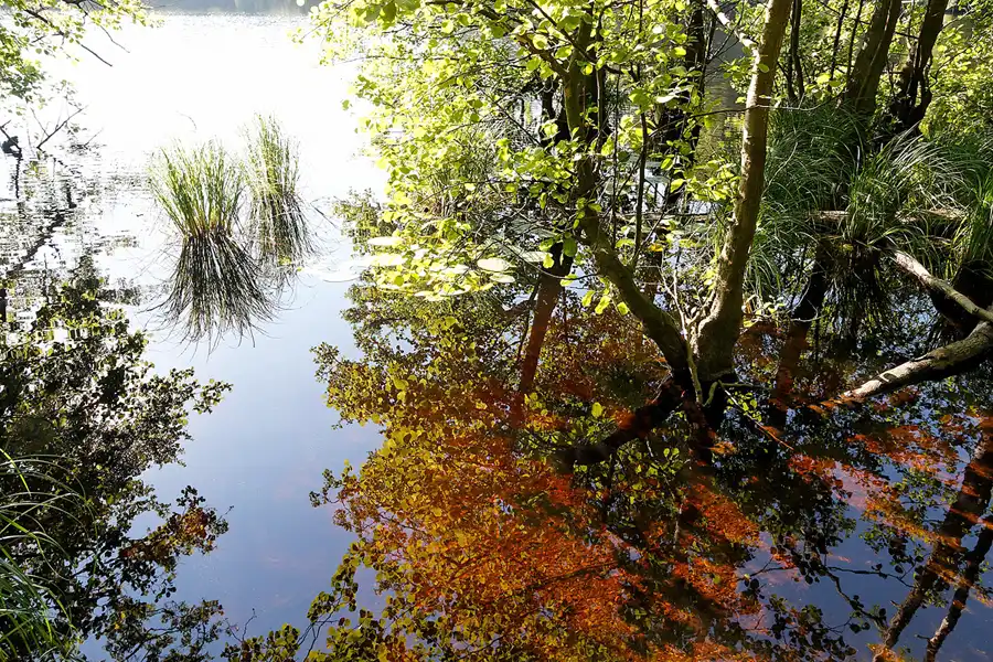 099 | 2007 | Rund um den Herthasee | © carsten riede fotografie