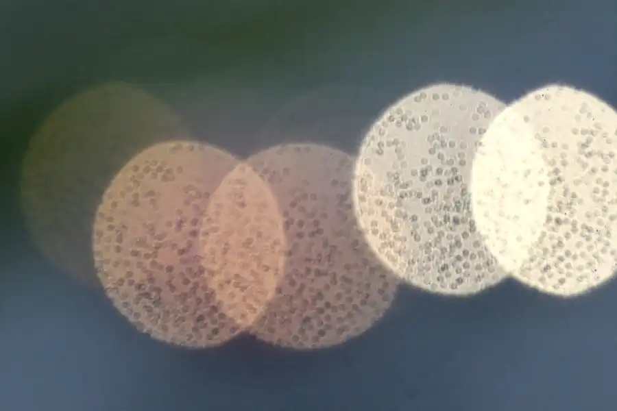 005 | 2007 | Motopark Oschersleben | FIA GT Championship | © carsten riede fotografie