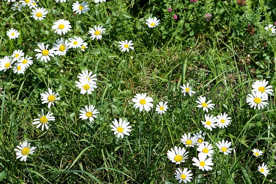 012 | 2007 | Betlis | © carsten riede fotografie