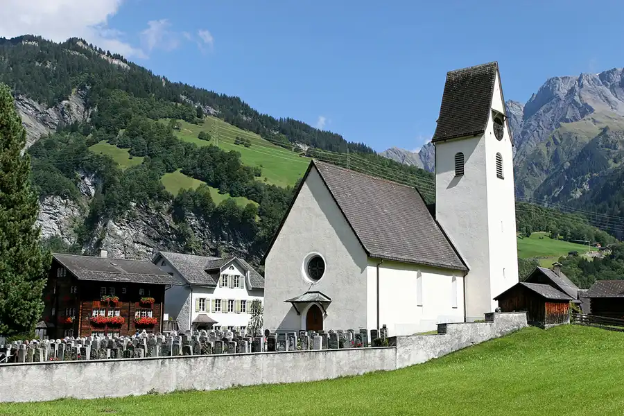 013 | 2007 | Elm | © carsten riede fotografie