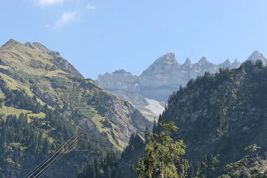 014 | 2007 | Elm | © carsten riede fotografie