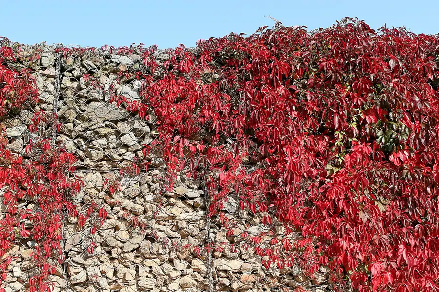 004 | 2007 | Stavelot | Abbaye De Stavelot | © carsten riede fotografie