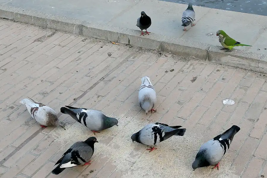 096 | 2008 | Barcelona | Parc de la Ciutadella | © carsten riede fotografie