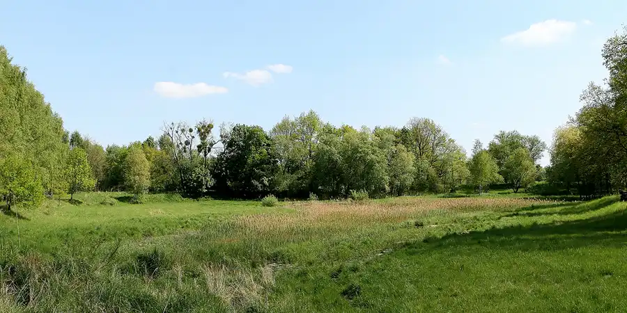 081 | 2008 | Elstal | Olympisches Dorf von 1936 – Der Waldsee | © carsten riede fotografie