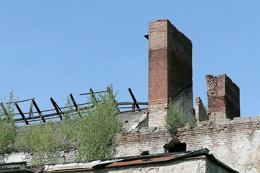 089 | 2008 | Elstal | Olympisches Dorf von 1936 – Die Schwimmhalle | © carsten riede fotografie
