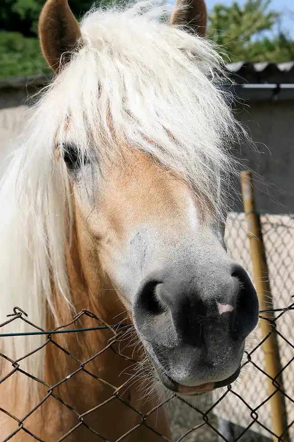 029 | 2008 | Woldegk | © carsten riede fotografie