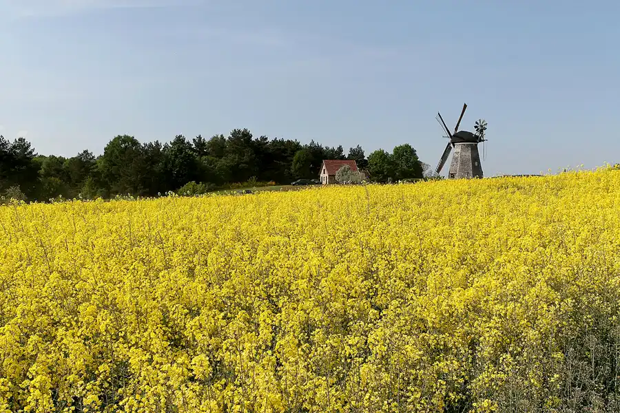 044 | 2008 | Benz | © carsten riede fotografie