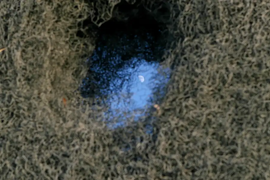 057 | 2008 | Katzow | Skulpturenpark | © carsten riede fotografie