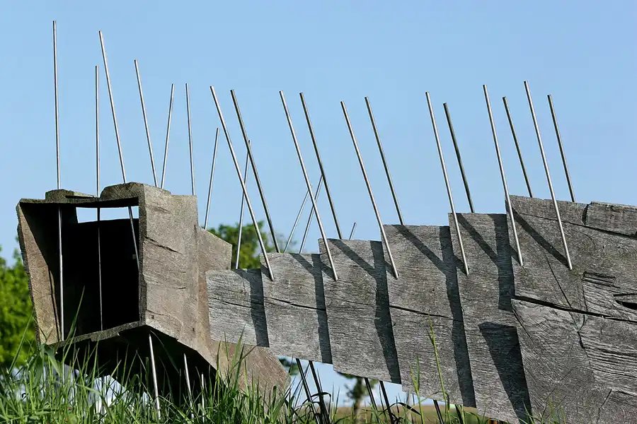 069 | 2008 | Katzow | Skulpturenpark | © carsten riede fotografie