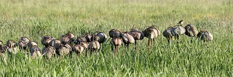 113 | 2008 | Katzow | Skulpturenpark | © carsten riede fotografie