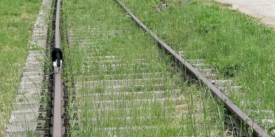047 | 2008 | Karnin | Karniner Brücke | © carsten riede fotografie