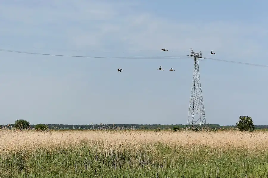 110 | 2008 | Peenemünde | © carsten riede fotografie