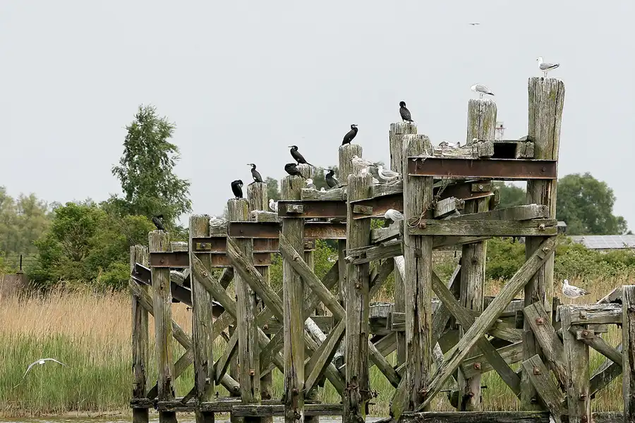 120 | 2008 | Peenestrom | © carsten riede fotografie