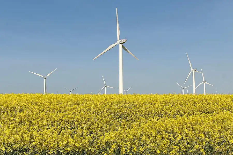 163 | 2008 | Vorpommern | © carsten riede fotografie