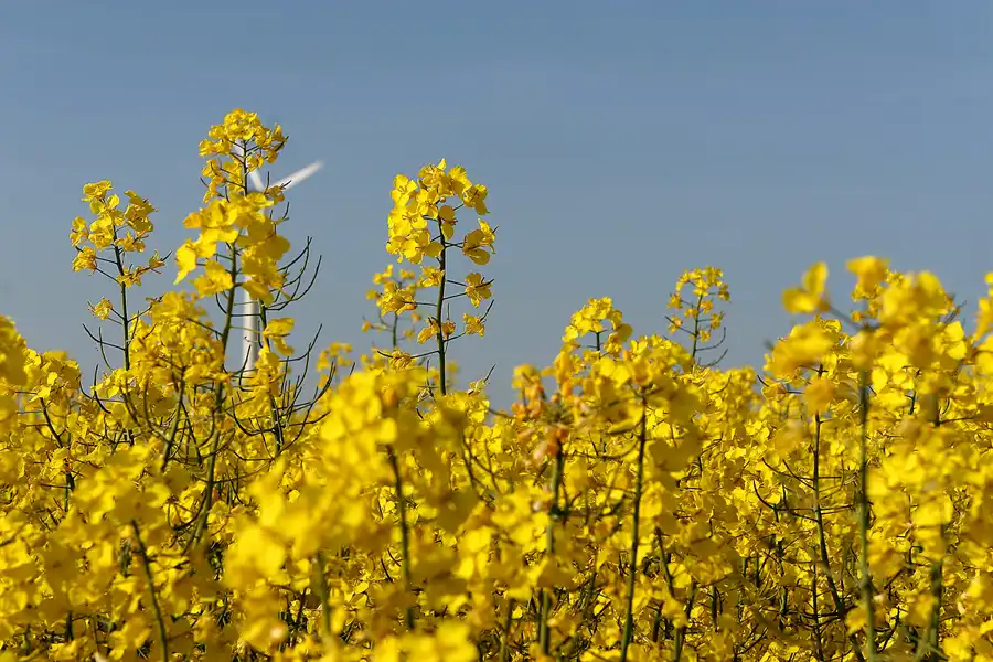 164 | 2008 | Vorpommern | © carsten riede fotografie