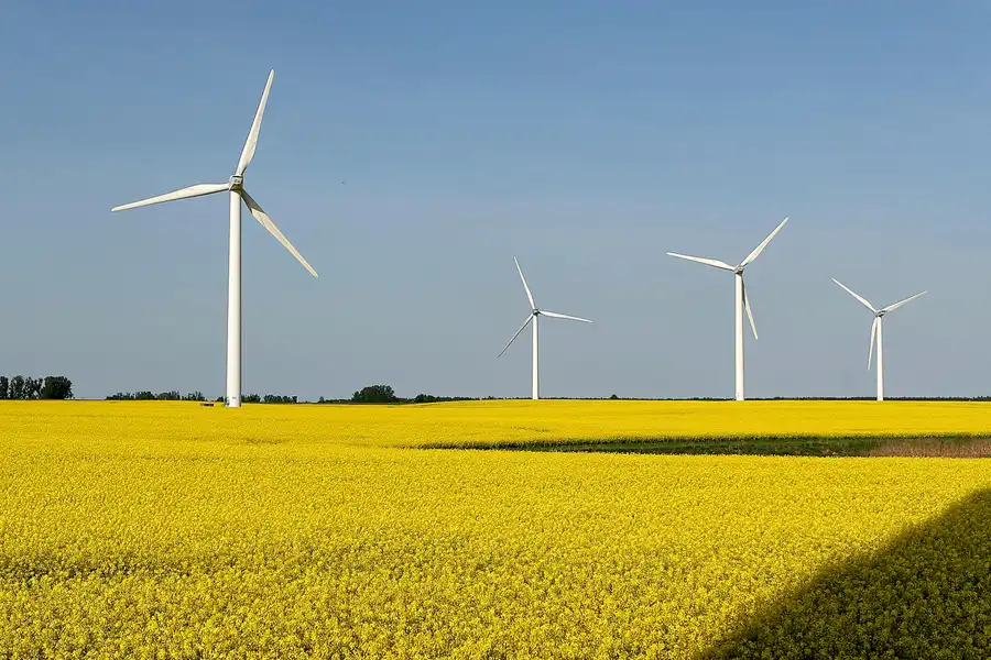 165 | 2008 | Vorpommern | © carsten riede fotografie