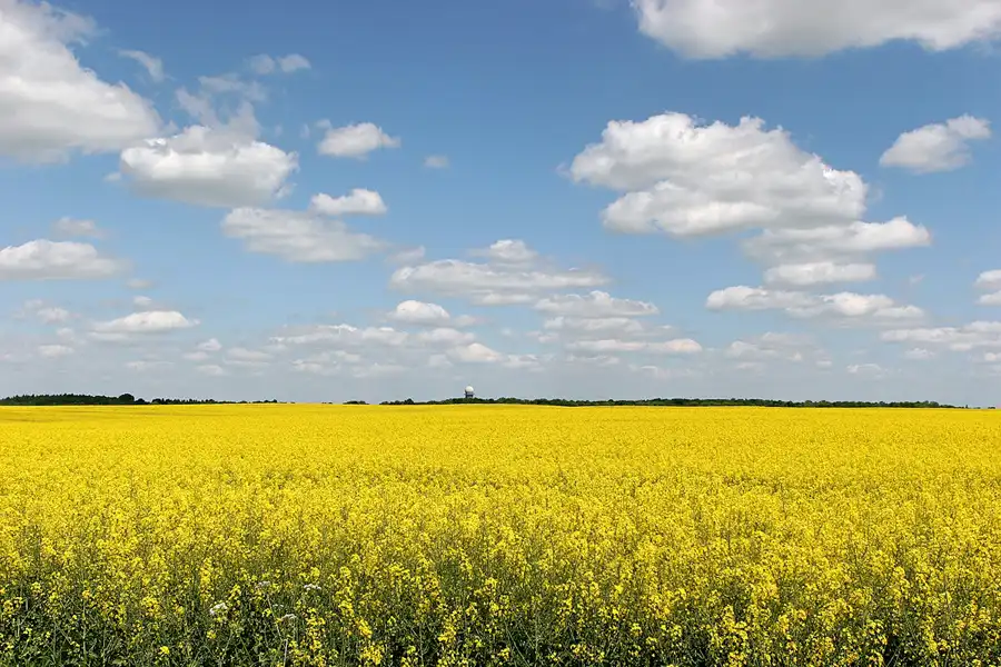 167 | 2008 | Vorpommern | © carsten riede fotografie