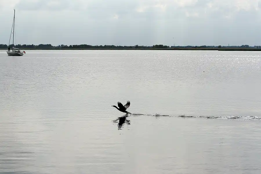 180 | 2008 | Zecherin | © carsten riede fotografie