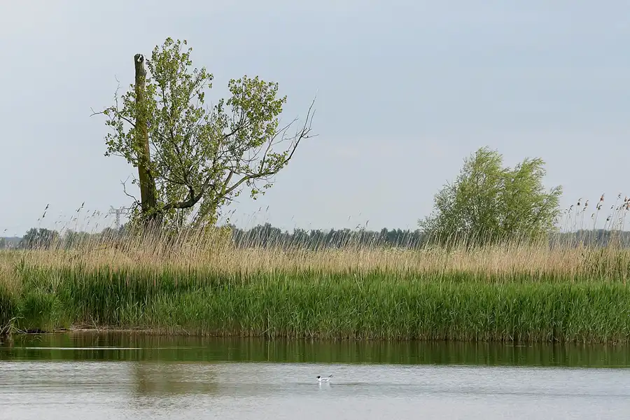 181 | 2008 | Zecherin | © carsten riede fotografie