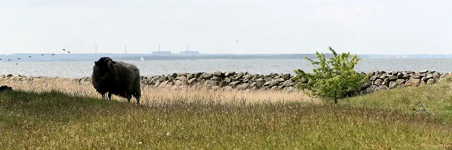 032 | 2008 | Insel Ruden | © carsten riede fotografie