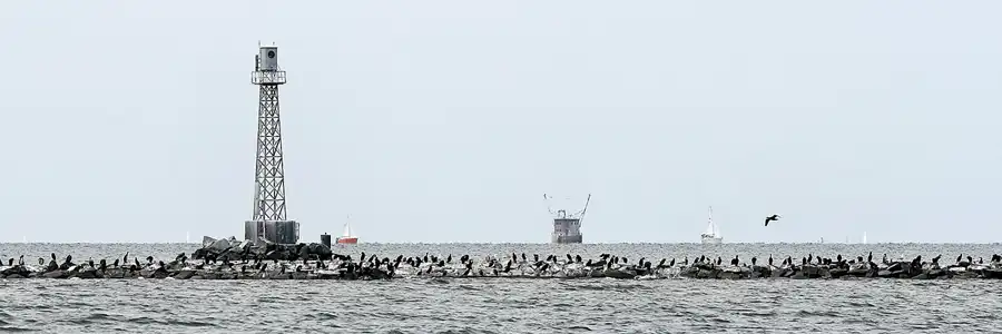 049 | 2008 | Insel Ruden | © carsten riede fotografie