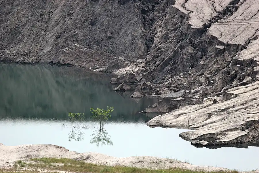 010 | 2008 | Tagebau Meuro | Rekultivierung in den Grossräschener See | © carsten riede fotografie