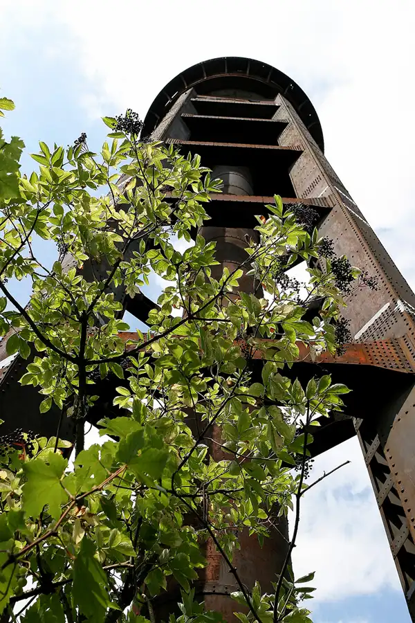 002 | 2008 | Berlin | Natur-Park Schöneberger Südgelände – ehemaliger Rangierbahnhof Tempelhof | © carsten riede fotografie