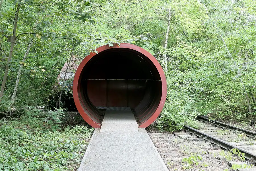 024 | 2008 | Berlin | Natur-Park Schöneberger Südgelände – ehemaliger Rangierbahnhof Tempelhof | © carsten riede fotografie