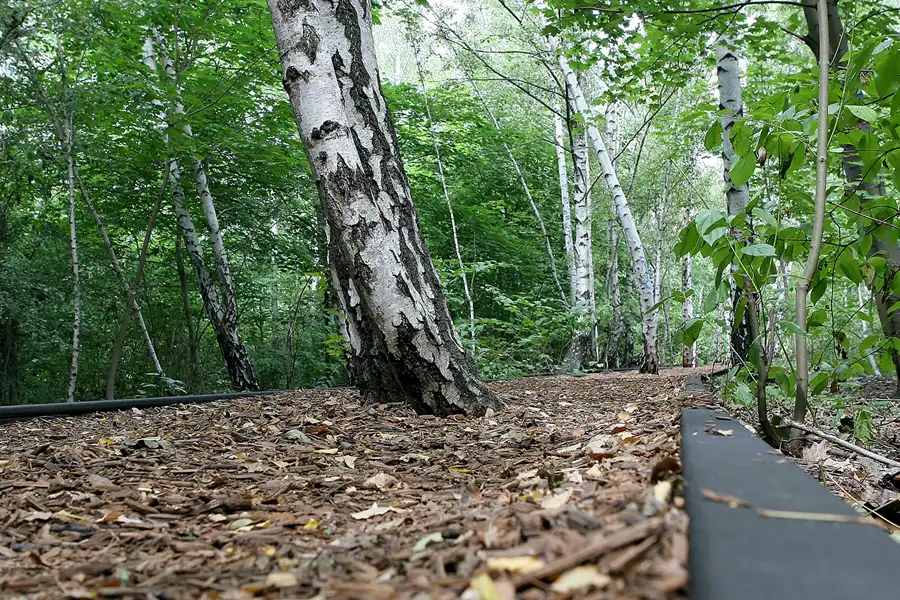 034 | 2008 | Berlin | Natur-Park Schöneberger Südgelände – ehemaliger Rangierbahnhof Tempelhof | © carsten riede fotografie