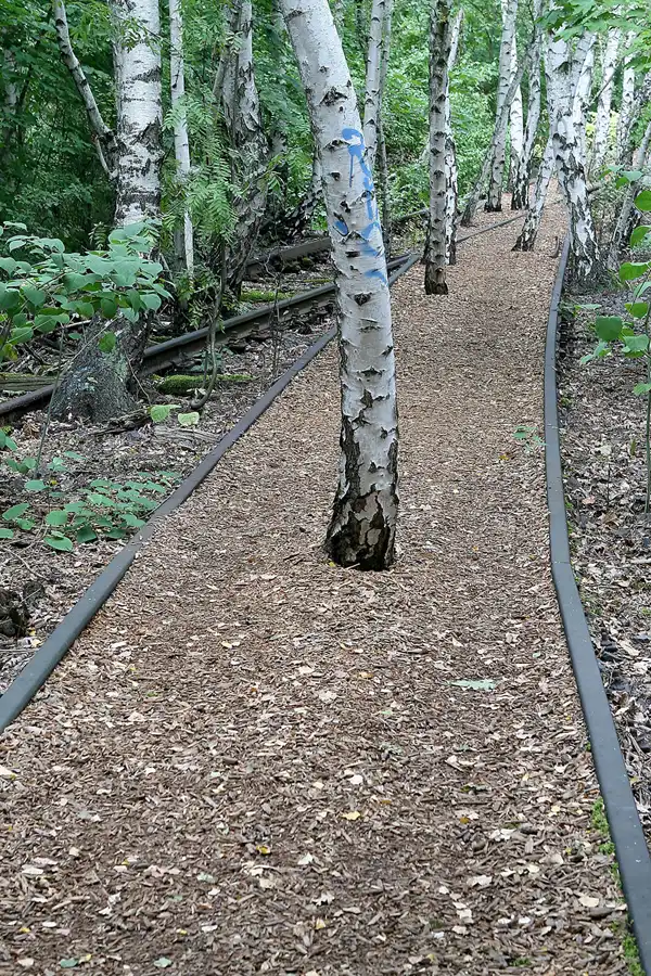 035 | 2008 | Berlin | Natur-Park Schöneberger Südgelände – ehemaliger Rangierbahnhof Tempelhof | © carsten riede fotografie