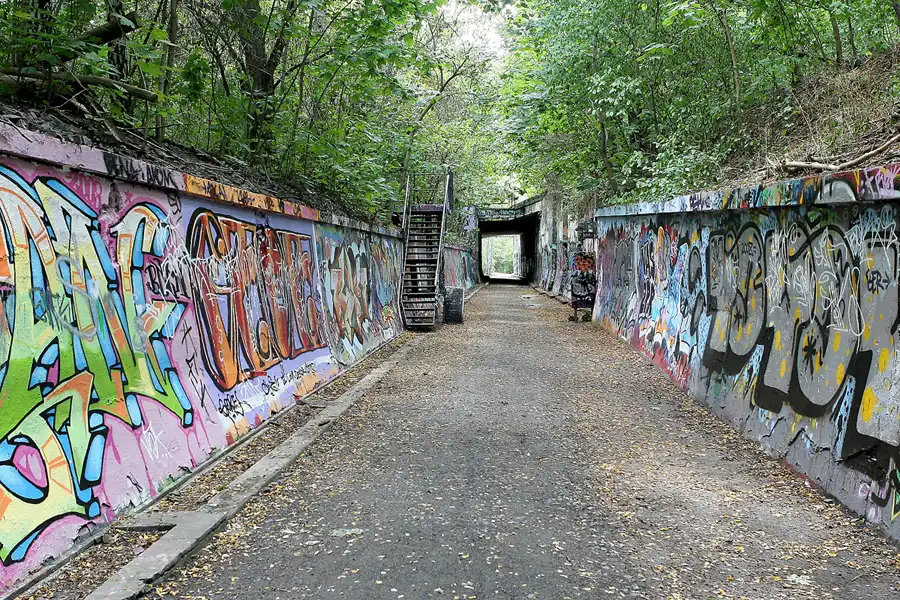 039 | 2008 | Berlin | Natur-Park Schöneberger Südgelände – ehemaliger Rangierbahnhof Tempelhof | © carsten riede fotografie