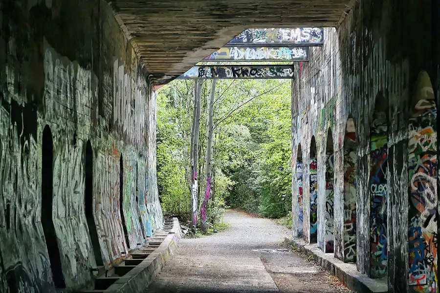 043 | 2008 | Berlin | Natur-Park Schöneberger Südgelände – ehemaliger Rangierbahnhof Tempelhof | © carsten riede fotografie