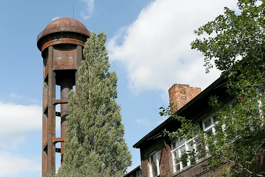 067 | 2008 | Berlin | Natur-Park Schöneberger Südgelände – ehemaliger Rangierbahnhof Tempelhof | © carsten riede fotografie